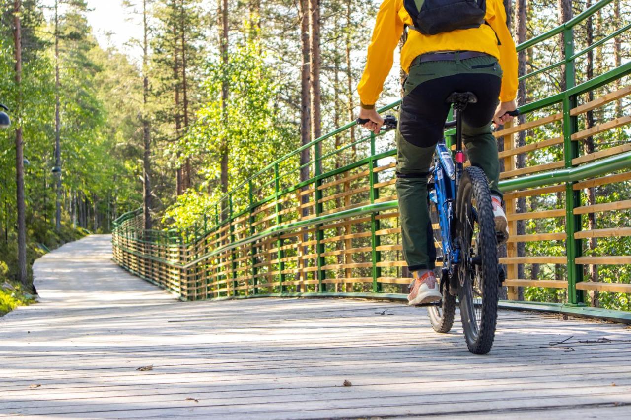 Holiday In Lapland - Sointuilevi A73 Εξωτερικό φωτογραφία